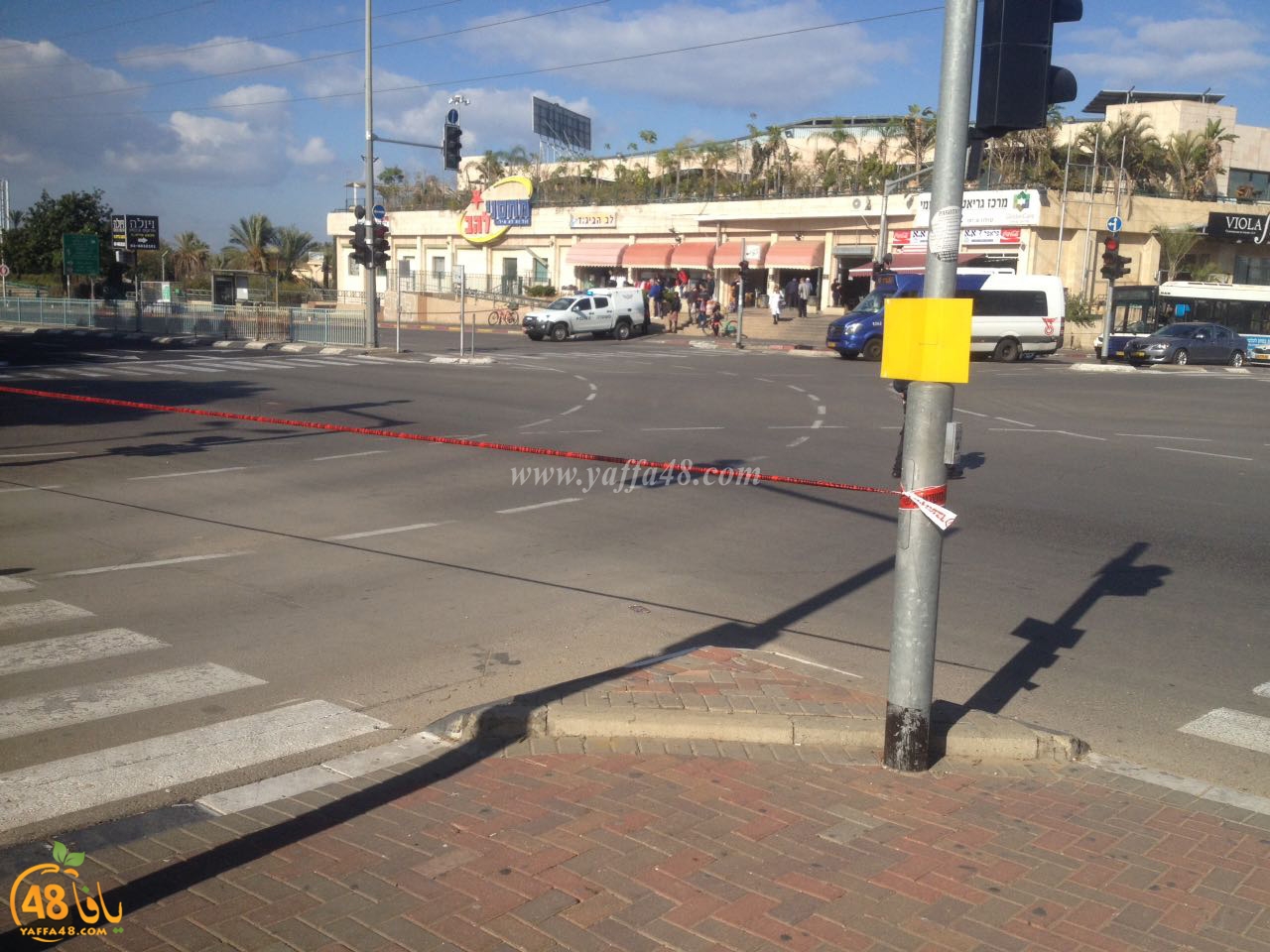 wolfson ejsna (3).jpg